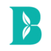 BLYUSD Logo